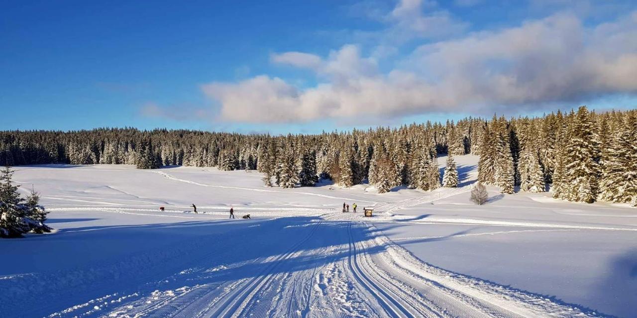 Horska Kvilda - Ubytovani U Chvalu Kültér fotó